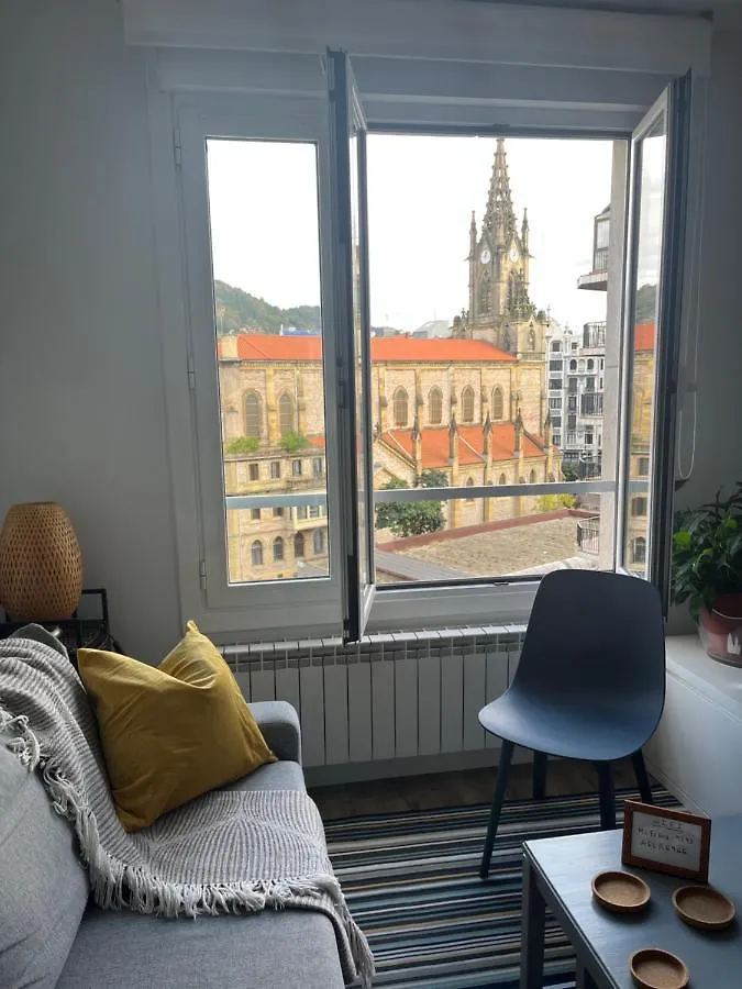 Confort 10 En Gros San Sebastián